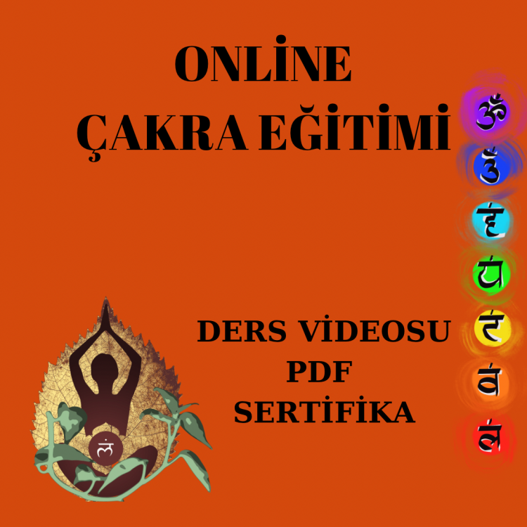 ÇAKRA EĞİTİMİ VİDEO KAYDI PDF