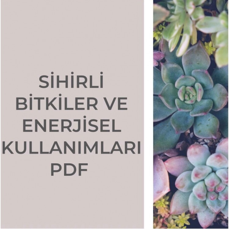 SİHİRLİ BİTKİLER VE ENERJİSEL KULLANIMLARI PDF